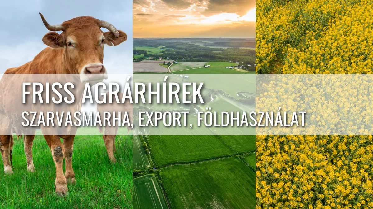 Botulizmus, exportstop és változó földhasználat – friss agrárkörkép