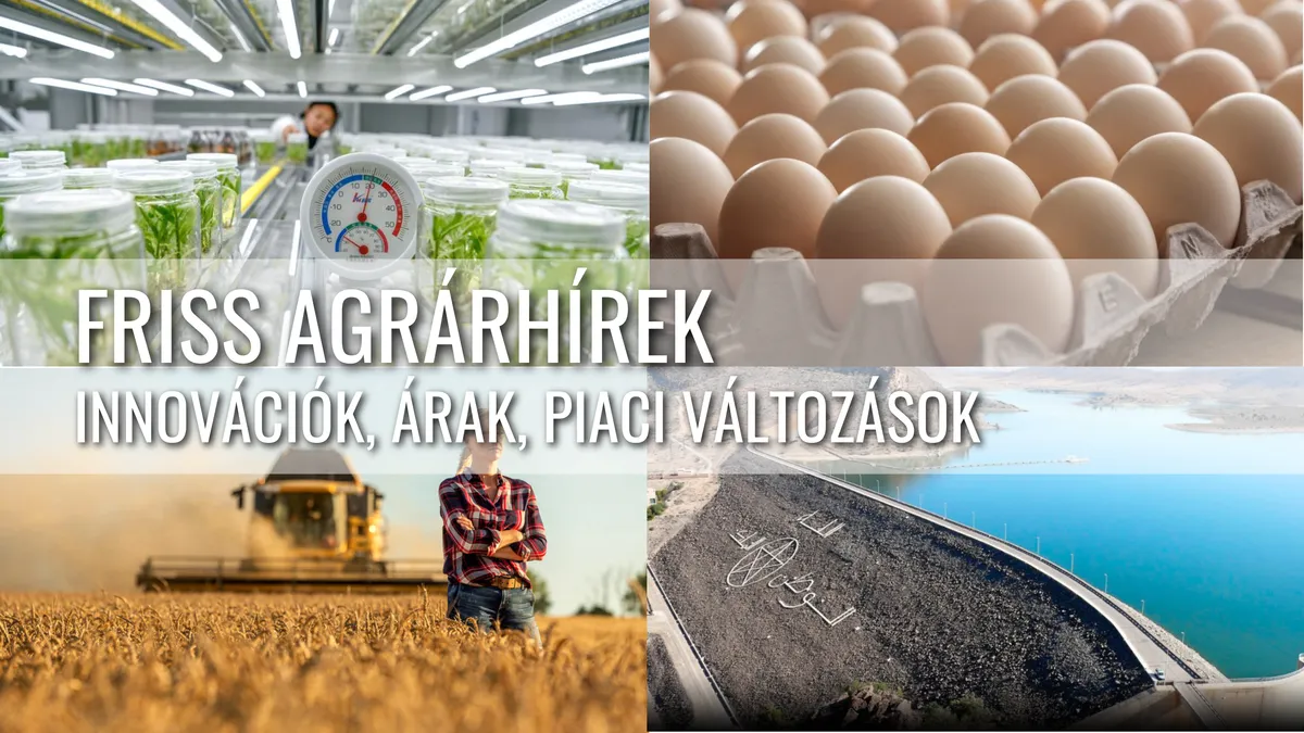 Friss Agrárhírek: Innovációk, Árak és Piaci Változások a Globális Mezőgazdaságban