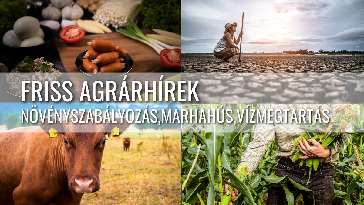 Felborult piac, változó szabályok és klímaharc – Friss agrárhírek 2025 nyarából