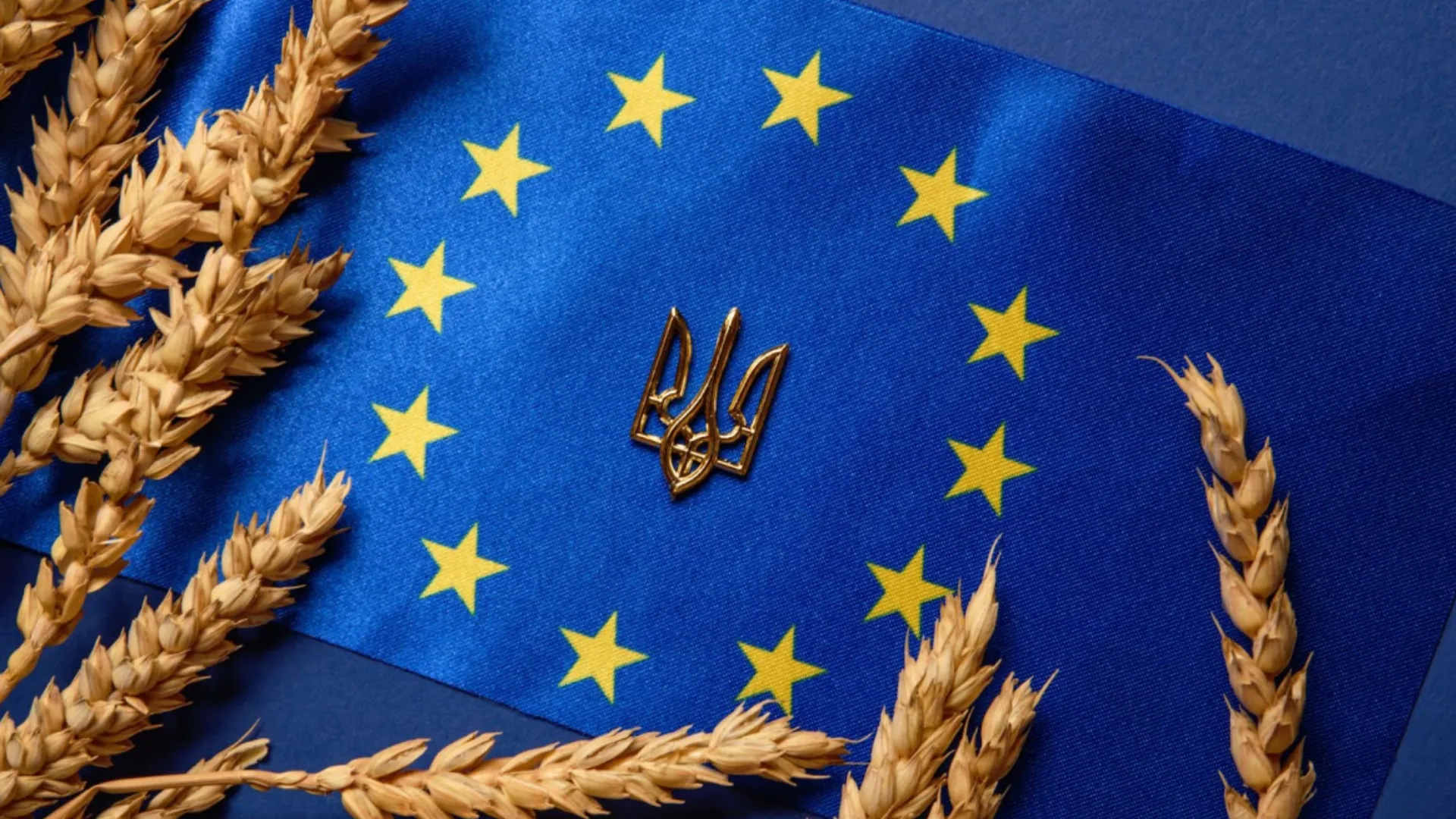 Blog 2